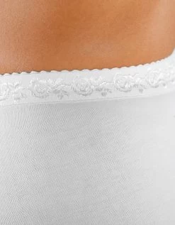 Culotte Maxi Effet Ventre Plat - Lot De 3 -Boutique De Lingerie De Mode 700795 C01 zoom detailRFP