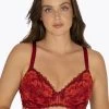 Well Soutien-gorge Demi-coques Dentellissime Avec Armatures -Boutique De Lingerie De Mode 701037 C01 zoomx
